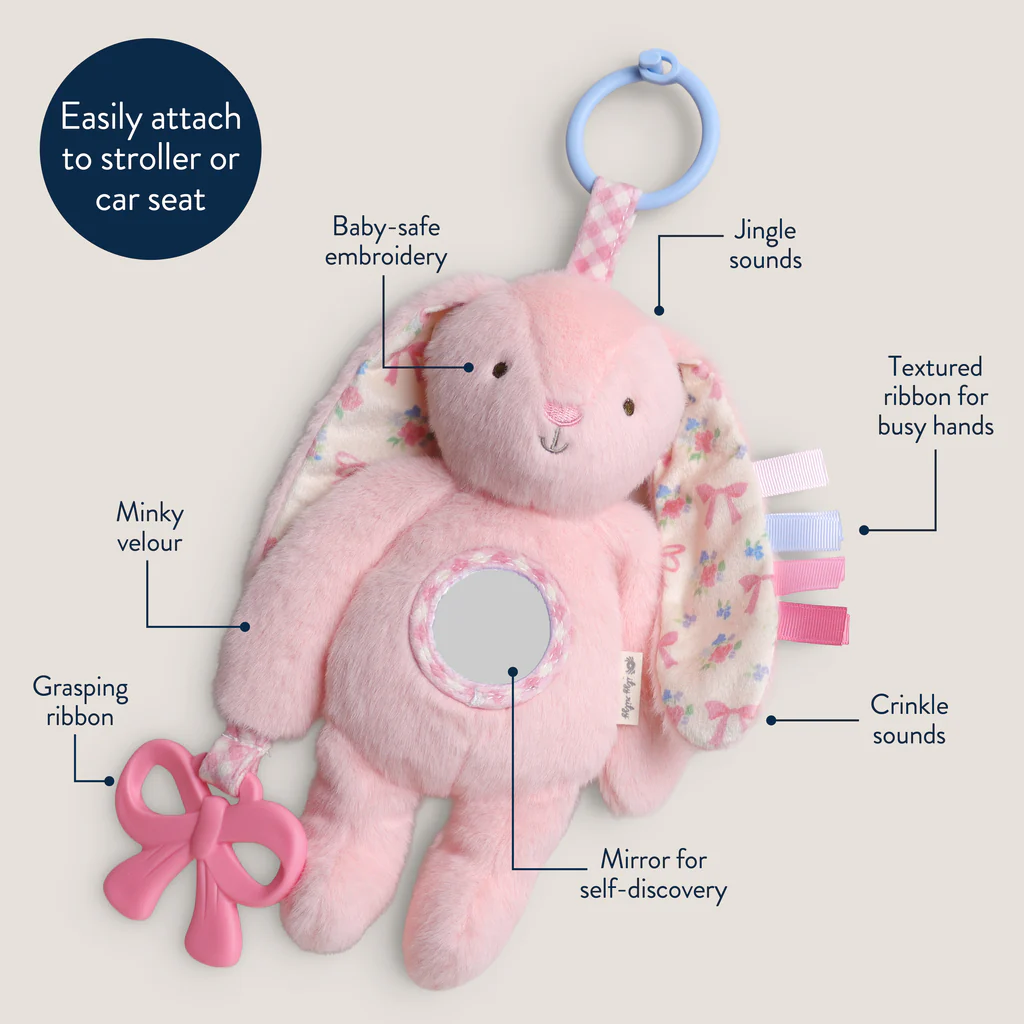 Bitzy Traveler™ Developmental Sensory Toy - Image 38