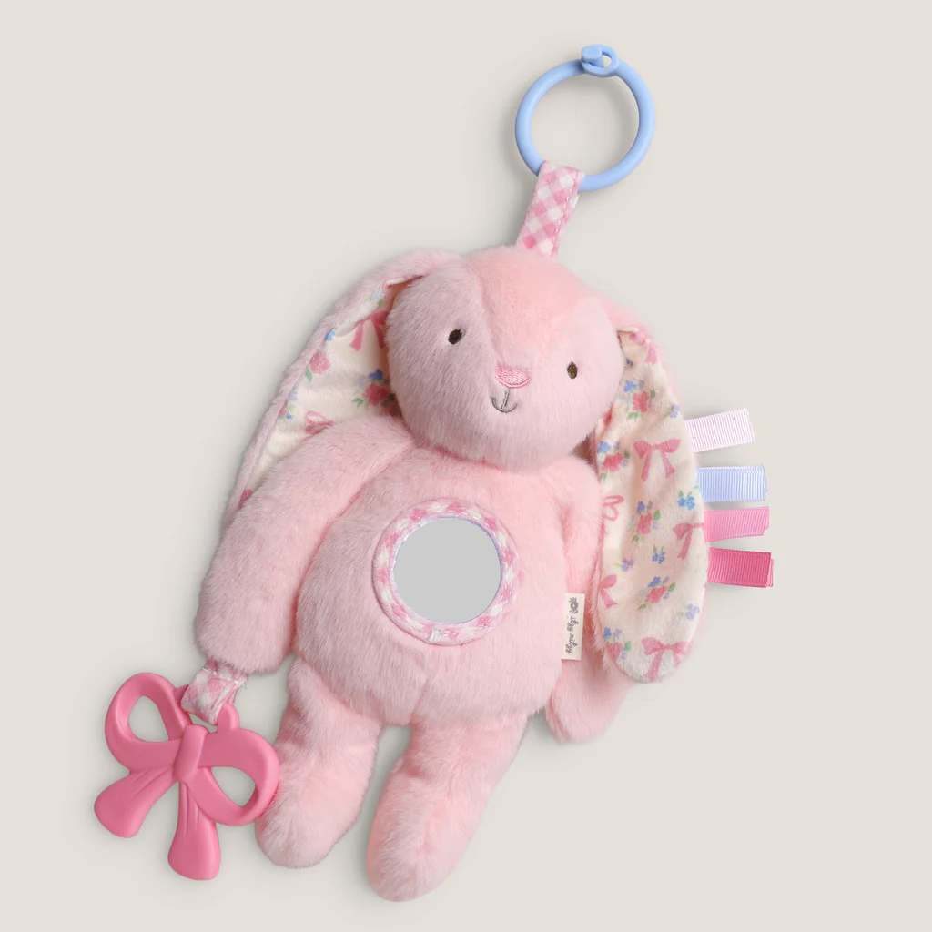 Bitzy Traveler™ Developmental Sensory Toy - Image 43