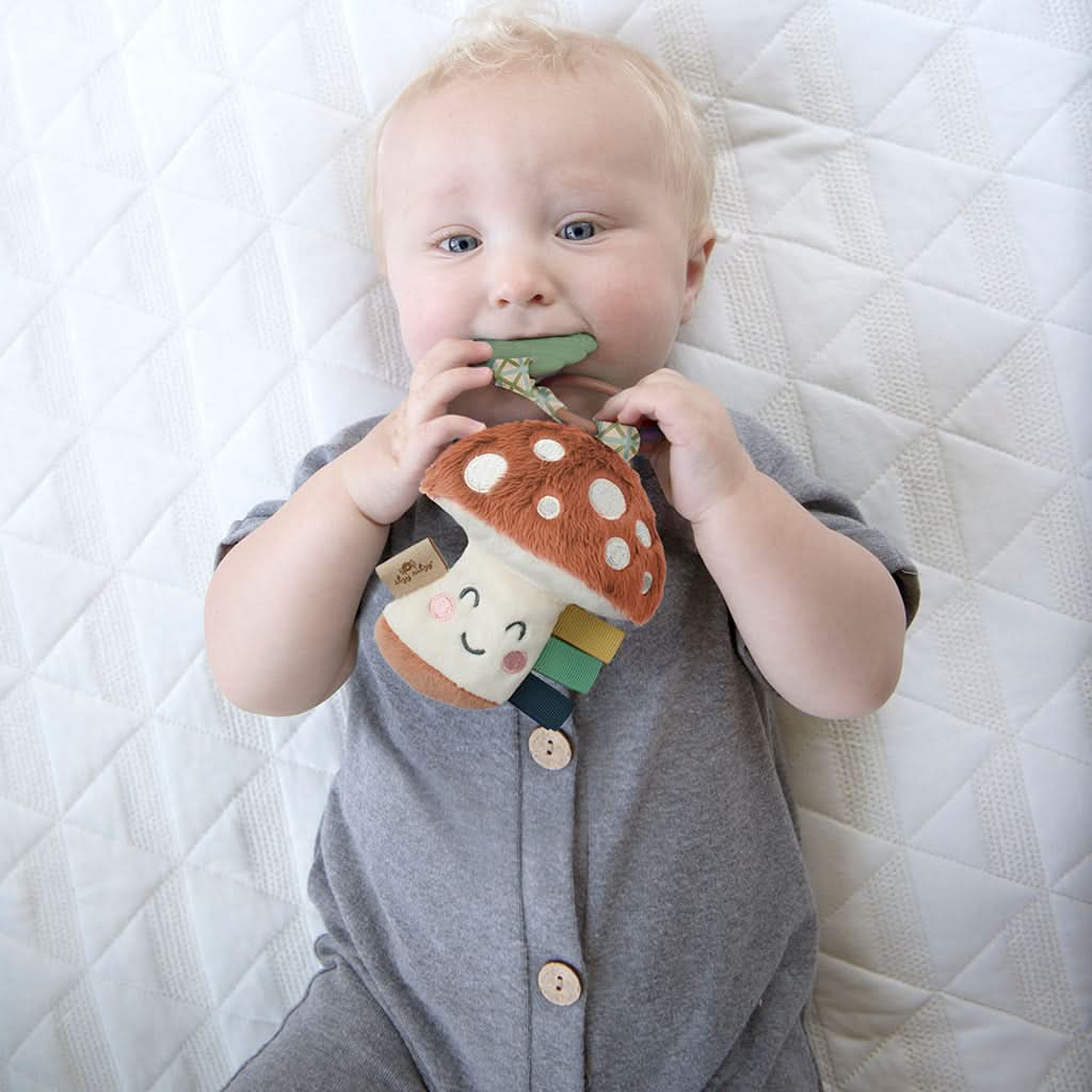 Itzy Pal™ Infant Toy - Image 50