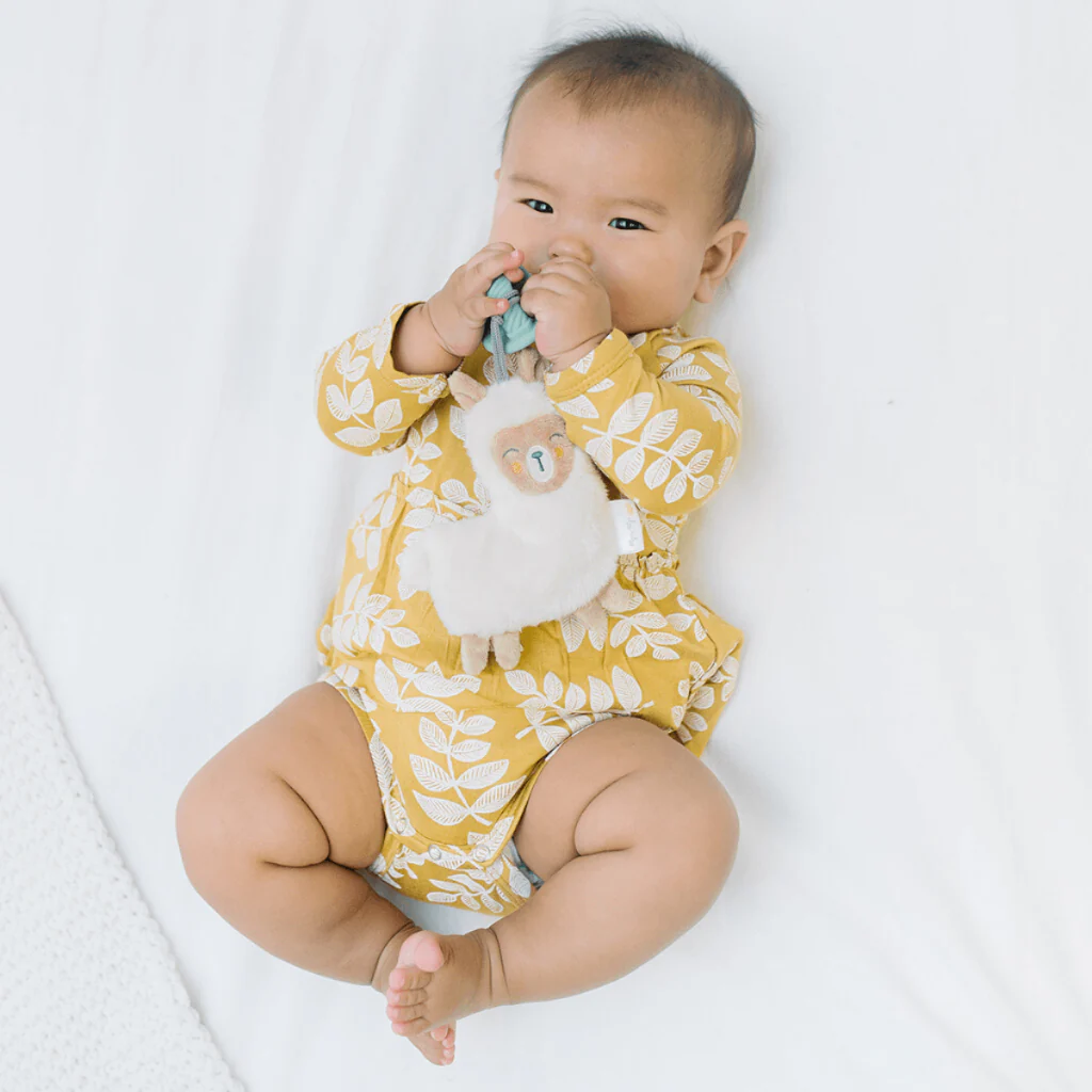 Itzy Paci Pal™ - Pacifier & Stuffed Animal - Image 10